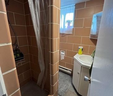 711 Brock Street - Lower Unit, 2 bed, 1 bath - AVAILABLE JAN-APR 2026 - Photo 4