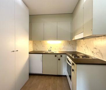 Rent a 2 ½ rooms apartment in Luzern - Photo 3
