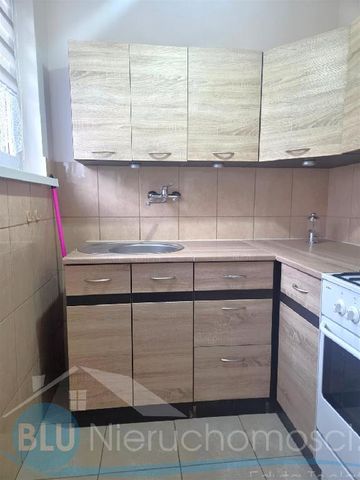 Mieszkanie Wrocław Stare Miasto powierzchnia 51.0 m² C191-WM-75933 - Фото 4