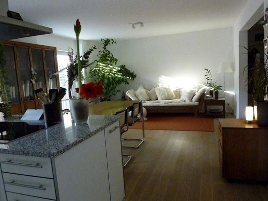 2-ROOM APARTMENT IN BASEL - ALTSTADT/GROSSBASEL, FURNISHED, TEMPORARY - Photo 1