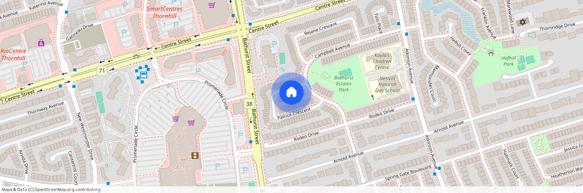 112 Patrice Crescent, Vaughan