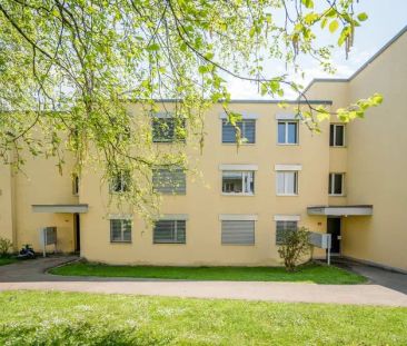 3.5 Zimmer, 76 m², 1. Stock - Foto 4