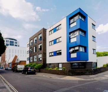 Standard Two-Dio - Photo 6