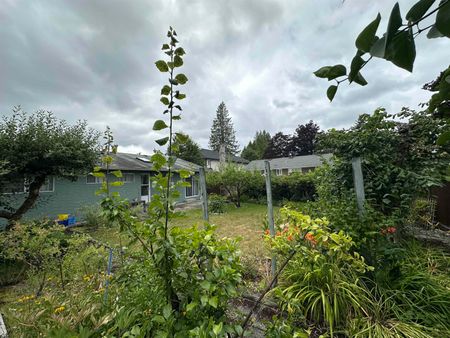 800 Block Smith Avenue, Coquitlam, BC V3J2X4 - Photo 4