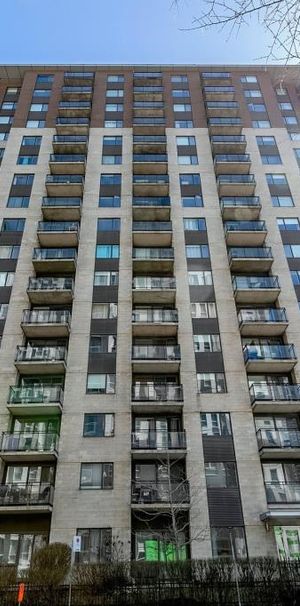 1 Bedroom - 1280 Rue Saint-Jacques, Montréal - Photo 1