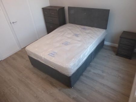 Apt 2, 84 Fitzroy Avenue, Belfast, BT7 1HX - Photo 2