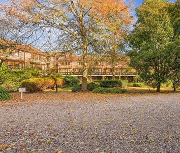 4 bedroom house to rent - Photo 1