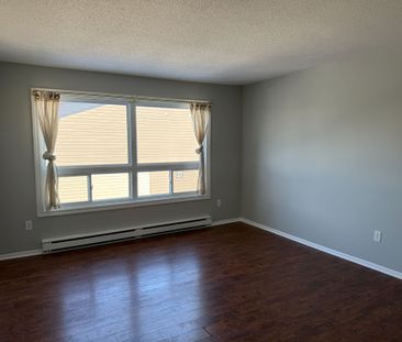 For Lease - 25H Banner Road, South of Baseline to Knoxdale, Ontario - Photo 2