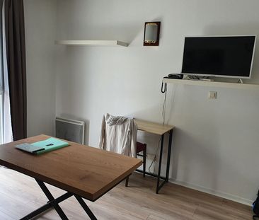 HAUT d'IDRON, Au Calme, Studio Meublé en Résidence récente avec cli... - Photo 1