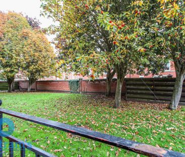 2 bed Flat for Rent - Photo 6