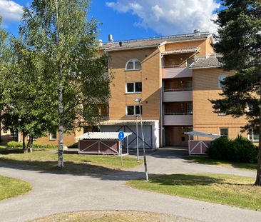 Lyckogränd, Skellefteå - Photo 3