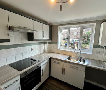 Petunia Way - Photo 3