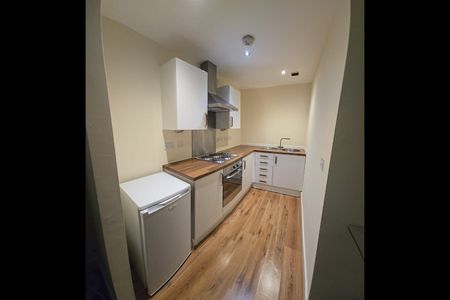 1 Bed Flat, Smithfield Apartments, S1 - Photo 3