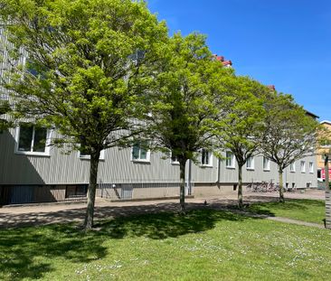 Suellsgatan, Landskrona - Foto 6