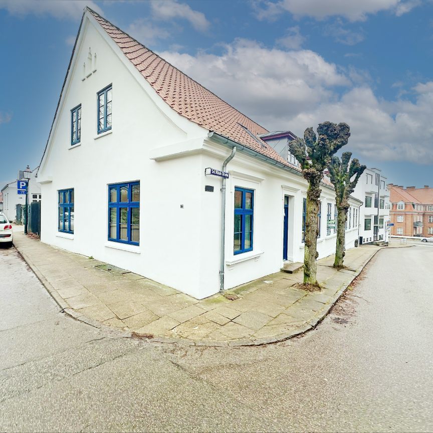 Sct. Nicolaj Gade - Foto 1