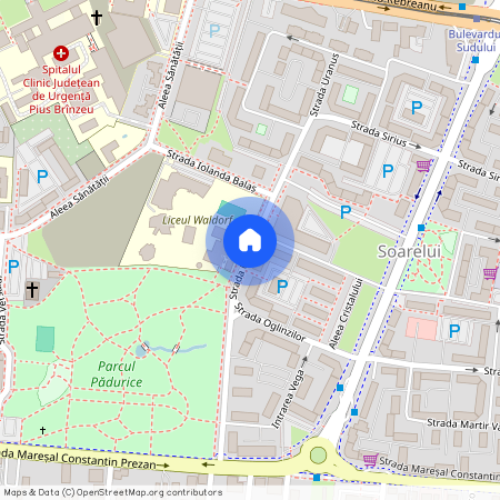 Timisoara
