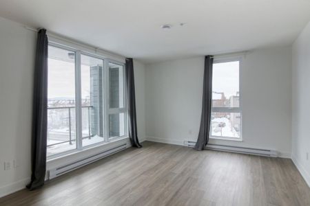 9675 Av. Papineau, app.321, H2B 3C8, H2B 3C8, Montréal - Photo 3