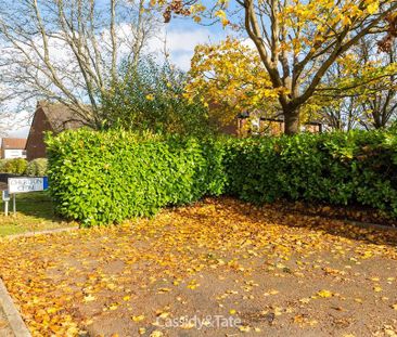 2 bedroom semi-detached bungalow to rent - Photo 2