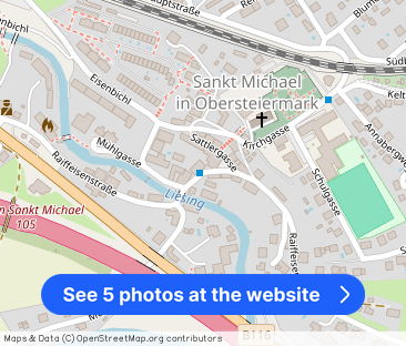 Günstige1-Zimmer-Mietwohnung | teilsaniert, teilmöbliert | St.Micha... - Photo 1