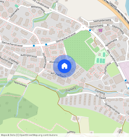 Alvierstrasse **, 8804 Wädenswil