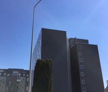 Location Appartement 1 pièce 19m² TOURS 37000 - Photo 5