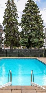 GRAND ET LUMINEUX 3.5 DISPONIBLE 1ER NOVEMBRE!! - Photo 4