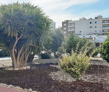 Apartamento T2 em Faro - Photo 5