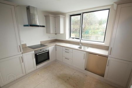 36 Main Street, Ballynahinch, BT24 8DN - Photo 3