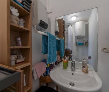 Location Appartement 1 pièce Meublé 19m² NANTES 44100 - Photo 3