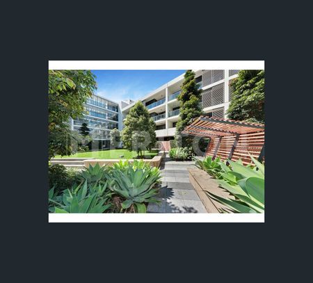 2B/5 Hutchinson Walk, Zetland, NSW 2017 - Photo 4