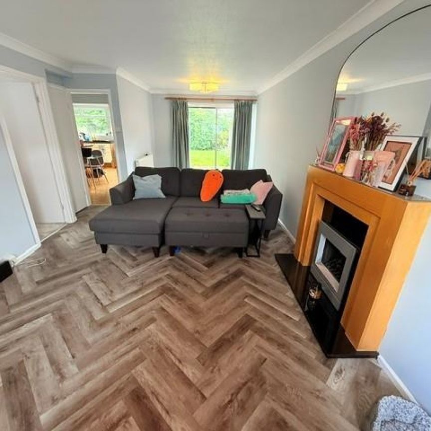 3 bedroom House To Let - Photo 1