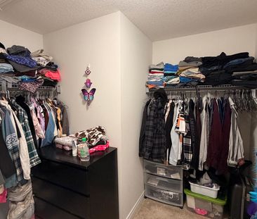 For Lease - 11 Genoa Drive, Hamilton, Ontario - Photo 4