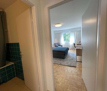 Delphine #2 - Foto 5