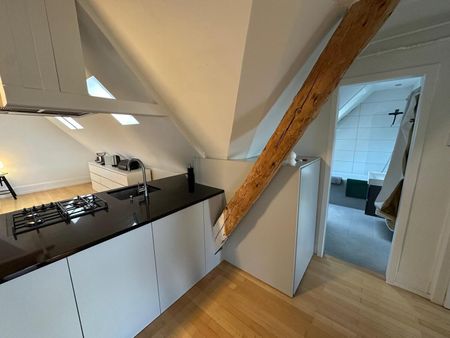 21/2-ROOM LOFT APARTMENT IN BERN – OBSTBERG/SCHOSSHALDE, FURNISHED, TEMPORARY - Foto 4