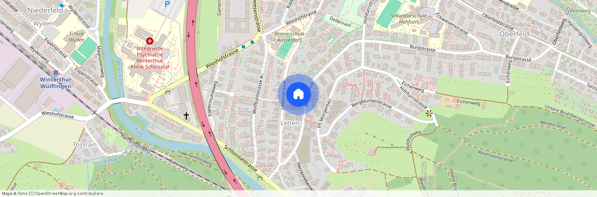 Burgstr. 17, 8408, Winterthur