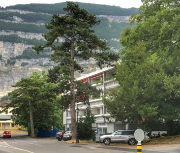 Charmant appartement de 2 pièces au 1er étage - Foto 1