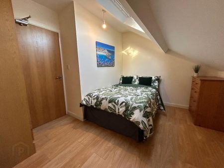 Balfour Avenue, Room 5, All Bills Included, Belfast, BT7 2EX - Photo 3
