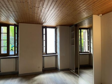 Location Appartement 2 pièces 52m² ANNECY 74000 - Photo 4