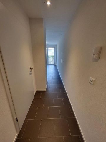 A saisir ! Superbe studio au centre de Fribourg ! - Photo 4