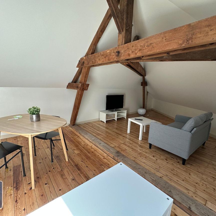 Location Appartement 1 pièce 21m² DEOLS 36130 - Photo 1