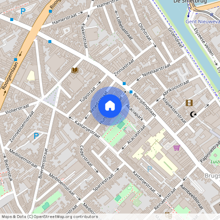 Hulstboomstraat, 9000, Gent