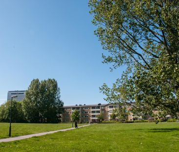 Segevångsgatan, Malmö - Photo 5