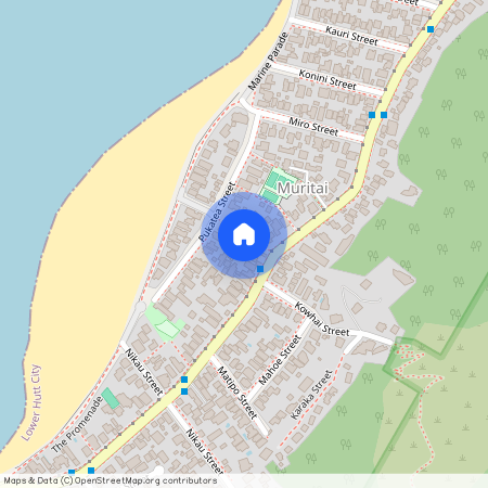 376A Muritai Road, Eastbourne