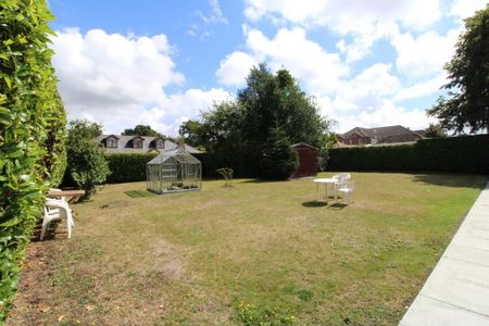 Studio to rent - Photo 5