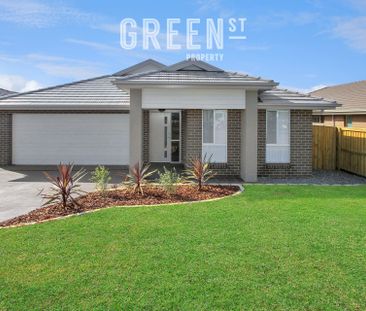 13 Triller Street, Aberglasslyn NSW 2320 - Photo 5