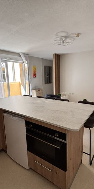 Location Appartement 2 pièces 48m² LIMOGES 87000 - Photo 1