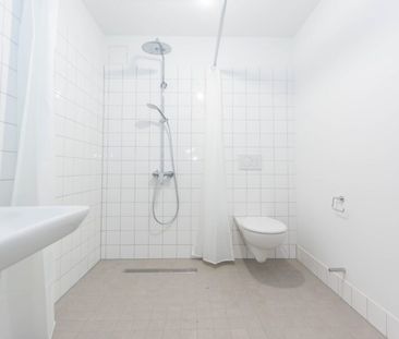 Attraktive Neubauwohnungen in Emlichheim - Photo 3