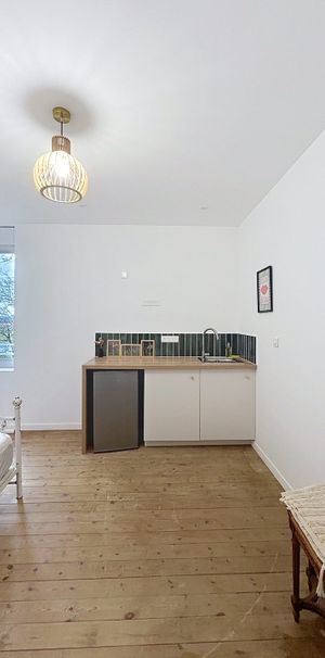 Location Appartement 1 pièce 38m² GAILLAC 81600 - Photo 1