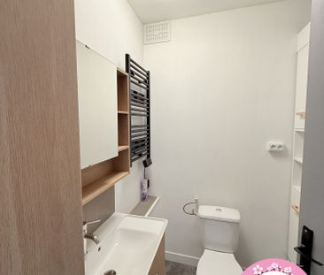 Location Appartement 2 pièces 53m² SULLY SUR LOIRE 45600 - Photo 6