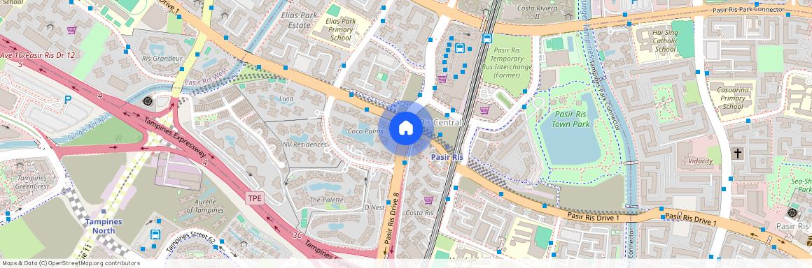 Pasir Ris Drive 8, Singapore